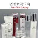 스템케이