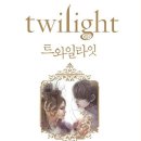 Twilight - 회색빛 로맨스 이미지