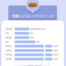 [GNM] 간호사가 먹는 올인원 필수 영양제 내돈내산 솔직후기