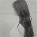 헤어보고미용실 이미지