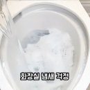 발포락스남양산점 | [내돈내산 꿀팁] 변기 냄새 제거 10초 컷! 얼음과 발포 세정제 조합으로 요석까지 싹 없애는 법