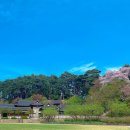 경포관광안내센터 이미지