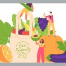 디자인톤 - 목포시 | 디자인톤