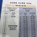 [아이와 제주 여행]우도 당일치기 완벽 코스! 배시간, 차량반입, 꿀팁 총정리(&amp;디파인커피 우도땅콩...
