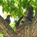 올림픽공원 북1문 옆 공원 이미지