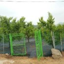 왕암농장 이미지