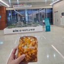 외대철판마을 | 11월 주간일기 (용인외대,석촌호수 루미나리에,광안리 불꽃축제,부산여행)