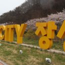 노랑꽃밭 이미지