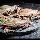 보성냉장 | 보성수산 황금간장게장 후기｜남포동 큰집 연평도암꽃게 대사이즈 2kg 실구매 리뷰