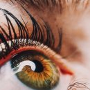 365금손약손한의원 이미지