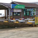 도초 고란리 매향비 Daum카페