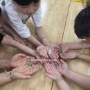 기후환경지도사 2급 이미지