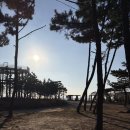 GS25태안몽산포점 | 캠핑)태안 몽산포오션캠핑장