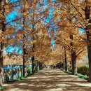 메타길5(어린이프로방스) 이미지