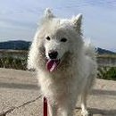 영남제일로 이미지