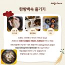 국화리팜랜드 이미지