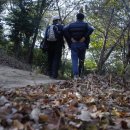 월영동147 이미지