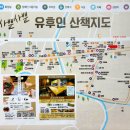금상투어