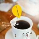 커피나드리 Daum카페