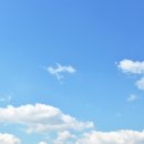 가흥동 마애여래삼존상 및 여래좌상 학술대회 | 12월 29일(월) 국회 주요 일정 총정리 🏛️