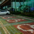 현대크루즈호 이미지