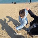 지에스25 대신푸르지오 2차점 | 도치알탕을 먹으러 속초로 (후포식당 실패 후기... 그 외 맛집 카페 필독)