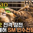 하이브 vs. 카카오 대전 ㅋㅋㅋ 이미지