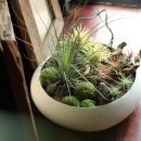 플라워&홈가드닝 이미지