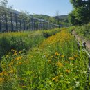 쇠죽골천 이미지