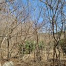 숭덕초등학교 병설유치원 이미지