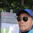 마포, 걷고싶은길 8코스 이미지