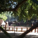 채원농장 이미지