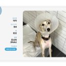마하 메디칼