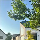 엄블라비안 이미지