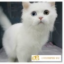 도화동물병원 이미지