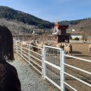 (주)용문여행 이미지