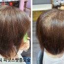미짱헤어 - 화천군 | 미짱헤어