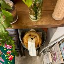 7347 | 구미 신평동 감성 카페 추천 디저트 맛집 레트로 핫플 양말코히 솔직 방문 후기