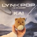 [VR] VR 카이도 진짜 카이다.. &lt;LYNK-POP : THE VR CONCERT KAI&gt; 후기