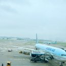 후쿠오카 A350-900 대항항공 기내식, 충전, 셀프백드랍, 인천공항 2터미널 맛집