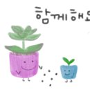 누리모토 이미지