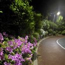 삼일공원(경로당) 이미지