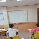 자라다plant 네이버블로그