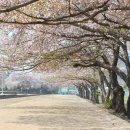 장복산길 이미지