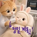 천안울쎄라피프라임 후기 말고 3가지를 체크