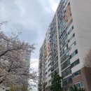 하단동106 이미지