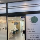 샐리네 살롱 이미지