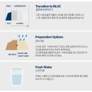 블루버니 이미지