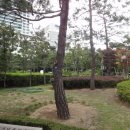 대구중앙초등학교 이미지