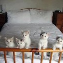 코끼리901약국 이미지